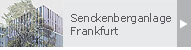 Senckenberganlage Frankfurt